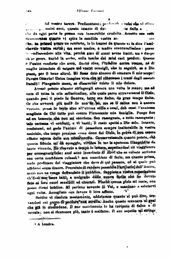 immagine non disponibile